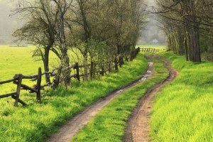 Now I Go Gently and Quietly